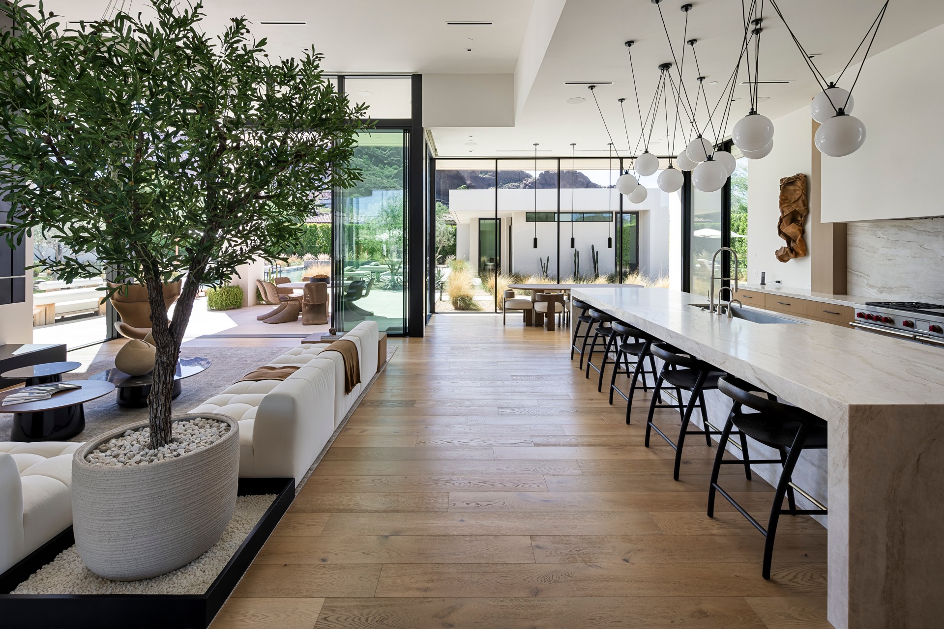 Modern luxury kitchen and living space with an indoor olive tree